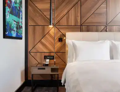 Radisson Blu, Sakarya - 32