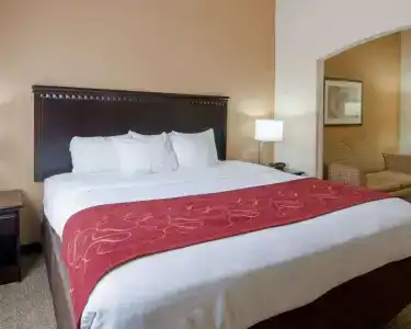 Comfort Suites West I-20 - 4