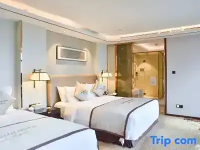 Wyndham Grand Plaza Royale Chongqing - 10