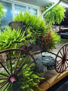 Homestead - 44