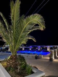 Crystal Suites - 35