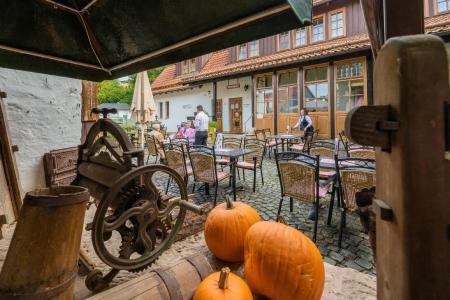 Goldener Hirsch - 16