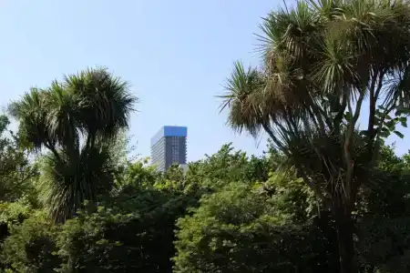 Green House - 31