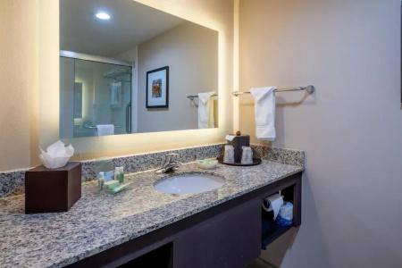 Holiday Inn Murfreesboro/Nashville, An Ihg - 71