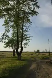 Надежда - 2