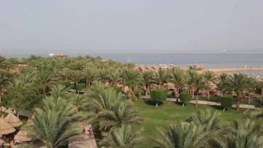 Siva Grand Beach - 42