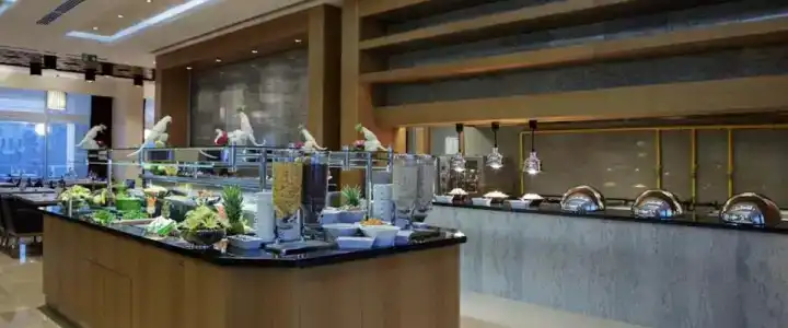 Hilton Garden Inn Diyarbakir - 9
