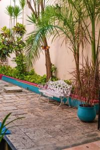 San Juan Mérida - 13
