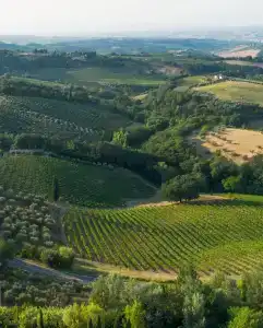 Relais Cappuccina - 39
