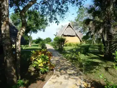 Bahari Pori - 35