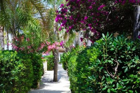Baia del Godano Resort & Spa - 21