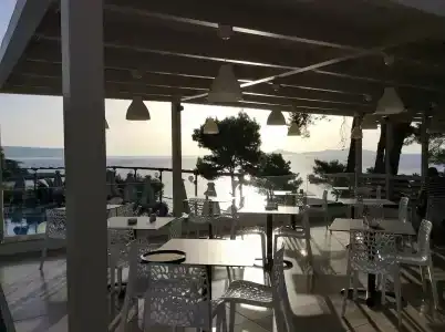 Paradise - 11
