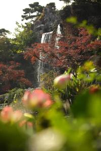 The Little Garden Boutique - 15