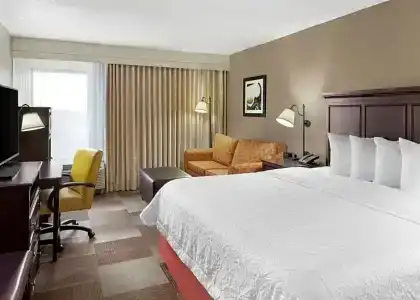 Hampton Inn Dallas-Irving-Las Colinas - 64