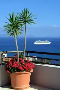 TUI Blue Gardens - Adults-only - Savoy Signature - 20