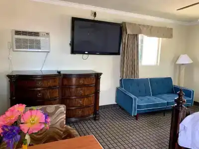 Viking Motel-Ventura - 25