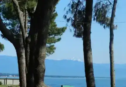 Villa Reta & Spa - 20