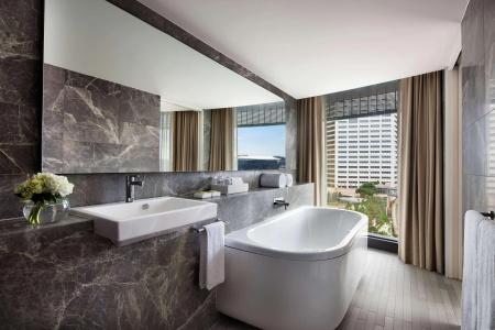 Hyatt Regency - 9