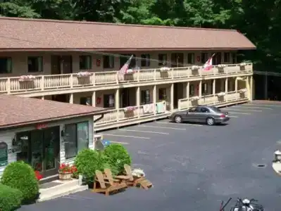 Tall Pines - 16