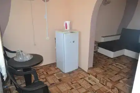 Дельфин - 16