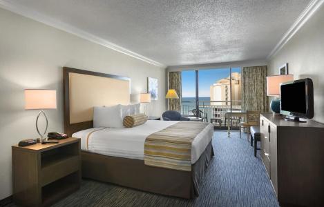 Coral Beach - 48