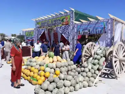 Caravan Sarai - 11