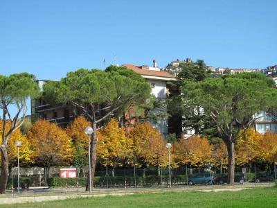 Torretta - 17