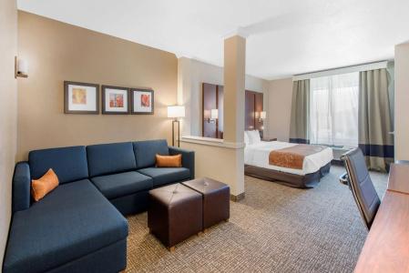 Comfort Suites Denver International Airport - 5
