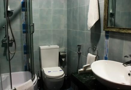 Vilesh Palace - 7
