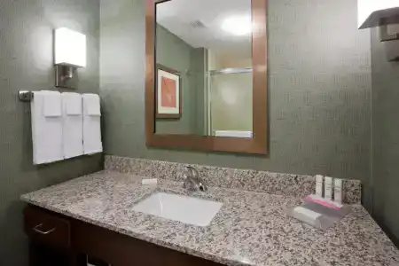 Homewood Suites by Hilton Mayo Clinic-St. Marys Campus - 76