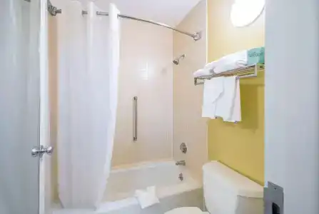 Quality Inn-Central Park Area - 60