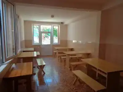 Эвкалипт - 1