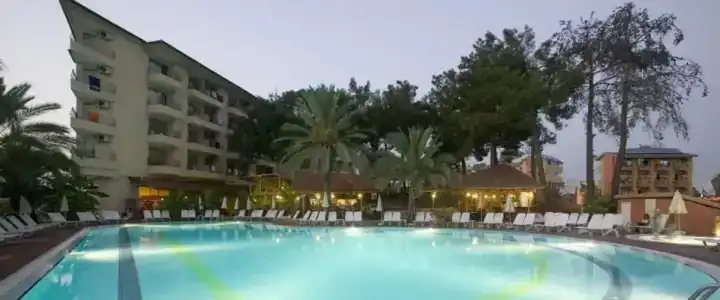 Palm D'or - 17