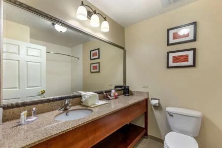 Comfort Inn Saint George North - 41