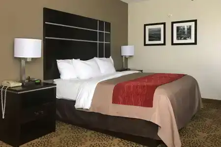Comfort Inn - 38