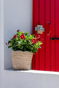 hôTel Les Volets Rouges - Cassis - 24