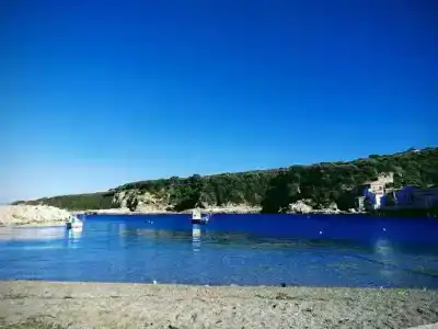 Dania - 14