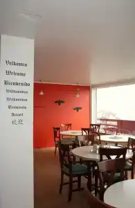 Stekkaból - 12