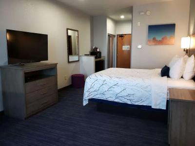 Best Western Plus San Antonio East Inn & Suites - 5