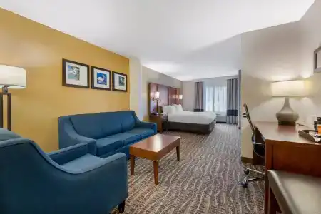 Comfort Suites - 56