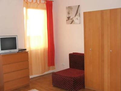 Papillon - 28