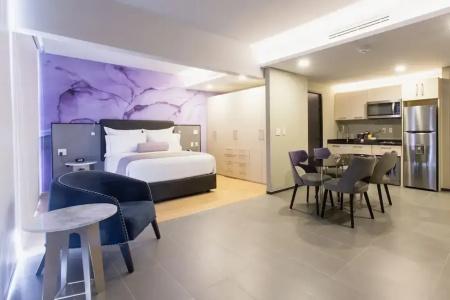 Hs Hotsson Cdmx Condesa Sur - 68
