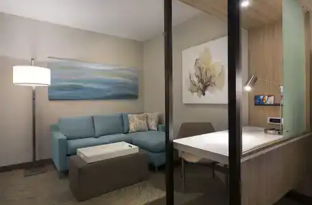 SpringHill Suites by Marriott - 3