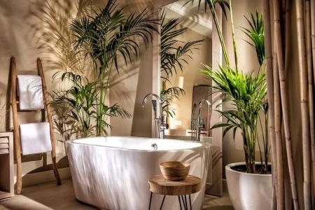 Drossia Palms and Nisos Beach Suites - 86