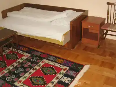Guest house Pribojska Banja - 29