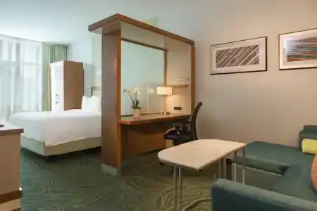 SpringHill Suites by Marriott Nashville Vanderbilt/West End - 35