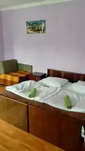Нино Хетагури - 4