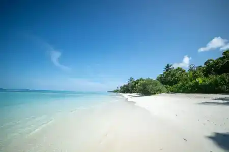 Whaleshark Beach - 7