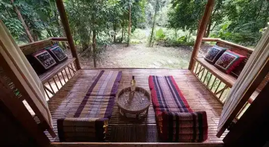 Khao Sok Paradise Jungle Lodge - 5