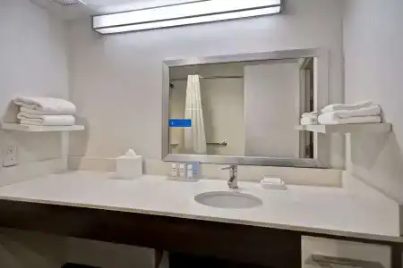 Hampton Inn Ny-Jfk - 8